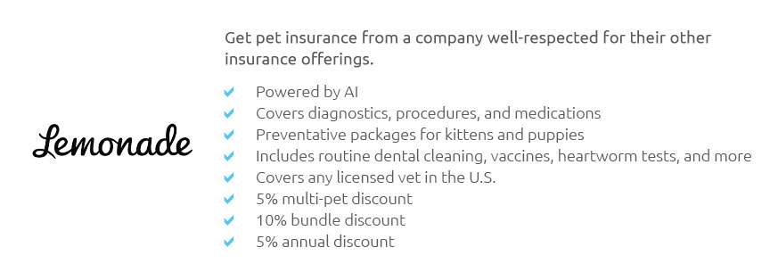 Dog Wellness Insurance Plan 🐶 Feb 2025