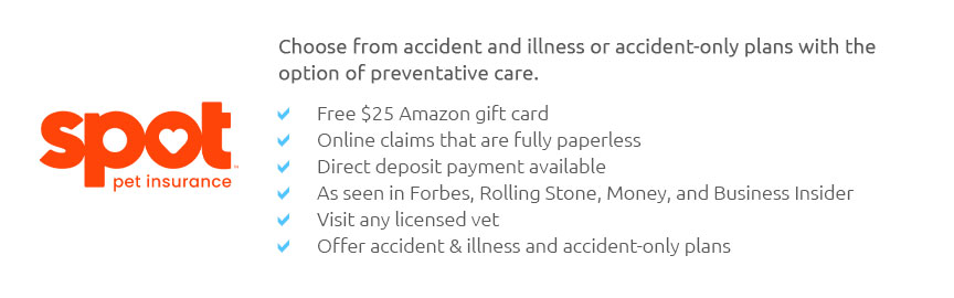 Dog Wellness Insurance Plan 🐶 Mar 2025